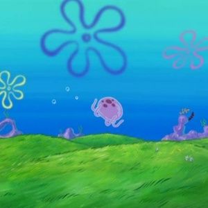 Meet your Posher, Joel